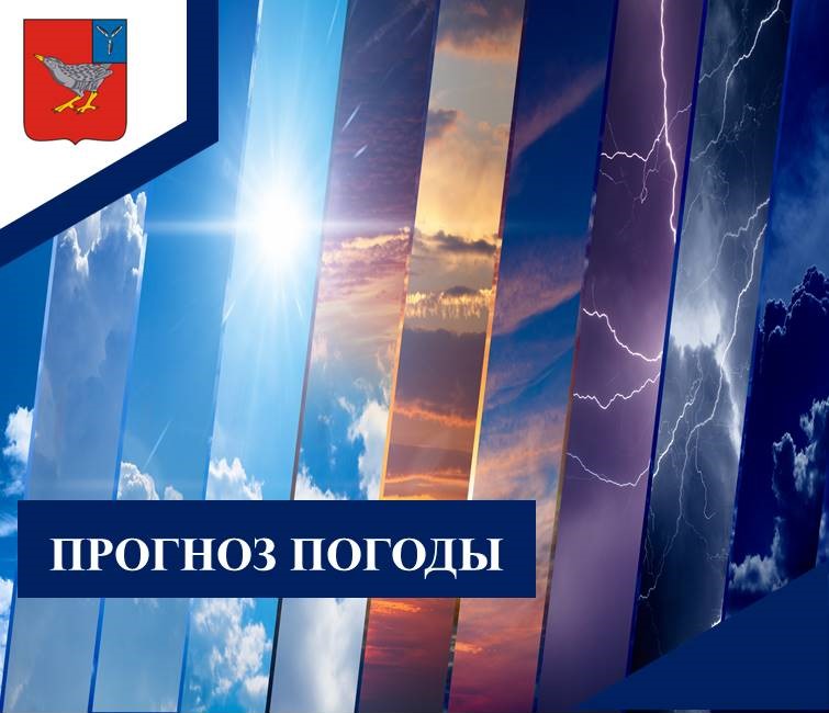 ПРОГНОЗ ПОГОДЫ 