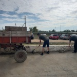 Сотрудники ООО «Дергачи-Птица» приняли участие в общеобластном субботнике