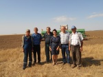 Озимые - основа будущего урожая