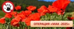 С 8 сентября по 17 сентября 2025 года на территории Саратовской области проводится второй этап межведомственной комплексной оперативно-профилактической операции «Мак - 2025»