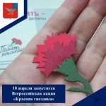 С 10 апреля в регионе проходит Всероссийская акция «Красная гвоздика» 
