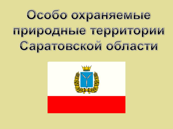 Стартовал фотоконкурс «Особо охраняемые природные территории Саратовской области»