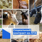 Уважаемые жители Дергачевского района!