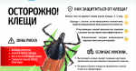 В Саратовской области становятся активными клещи – самое время вспомнить правила безопасности