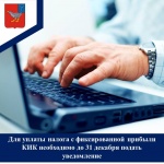 Для уплаты налога с фиксированной прибыли КИК необходимо до 31 декабря подать уведомление