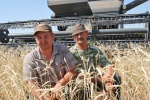 Доброму хлебу - добрая уборка