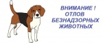 График планового отлова животных без владельцев на территории Дергачевского муниципальною района с 01.10.2025 года по 30.12.2025 года