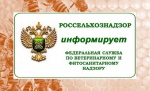 Управление Россельхознадзора напоминает сельхозтоваропроизводителям о необходимости информирования об обработках полей пестицидами