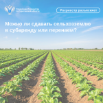 Можно ли сдавать сельхозземлю в субаренду или перенаем?