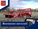 На улицах и дорогах сельского поселения увеличилось количество бродячего скота. Решением совета сельского поселения принят порядок содержания домашних животных и птиц.