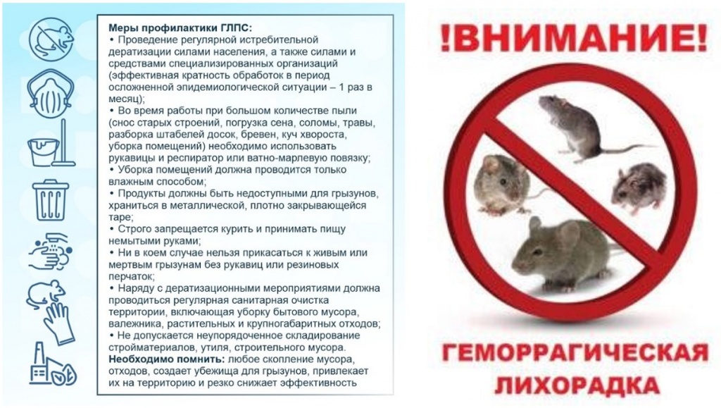 Информация по ГЛПС 