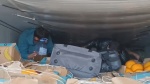 В автомобильном пункте пропуска Озинки пограничниками пресечена попытка организации незаконного въезда в Российскую Федерацию группы иностранных граждан.