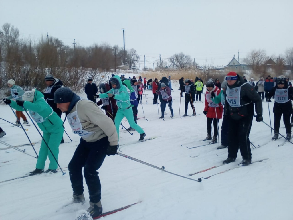 IMG-20190219-WA0008.jpg IMG-20190219-WA0008.jpg