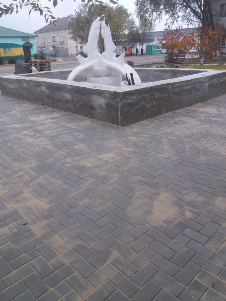 20181024_084507.jpg