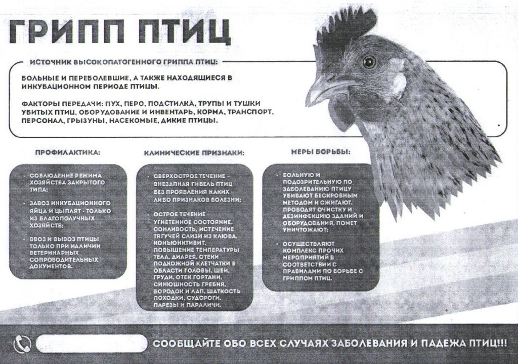 декабрь2021032.jpg