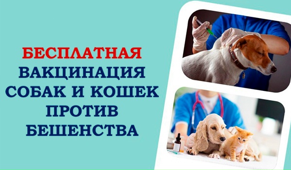 g4gnJz5Tx6ppeZSY98MiJGMq_UGAsL7QY5hyS68OfNg0Mf1uE1ly-k1eZTzTfrqxk2tjh5LsAz-HiRwlnO0ONM6_.jpg
